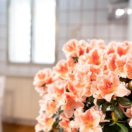 Funzionale E Riservato البندقية