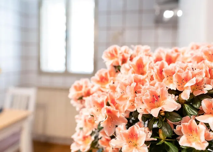 Funzionale E Riservato Βενετία